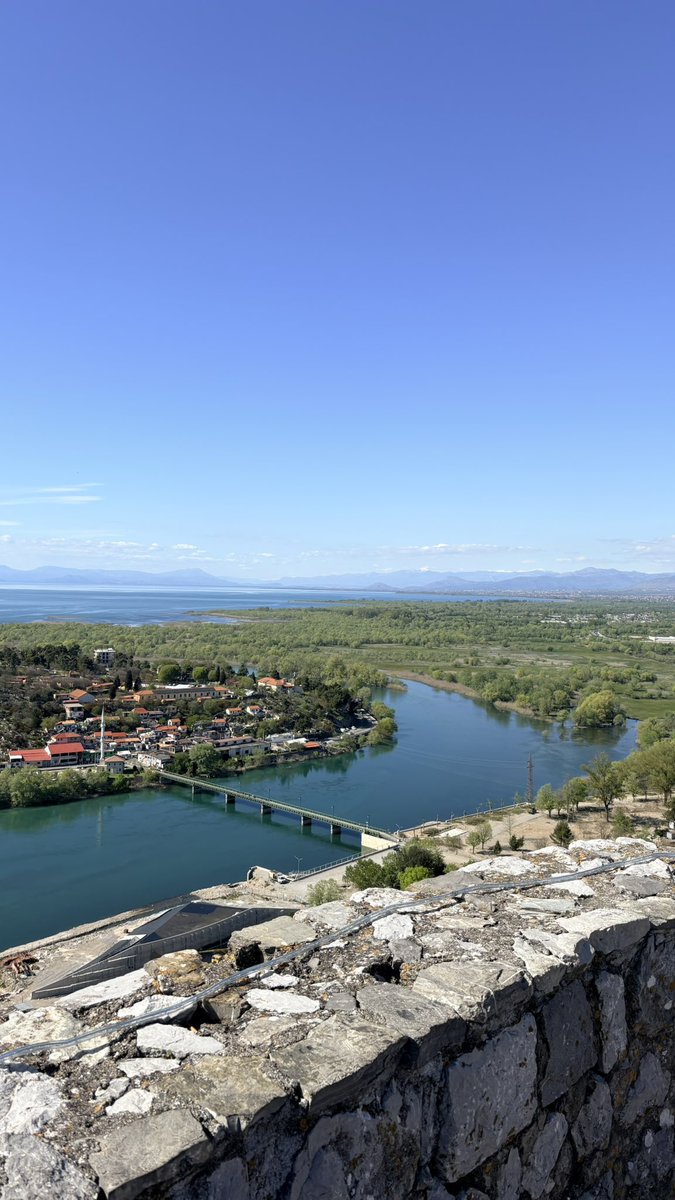 apix🎮 tweet media