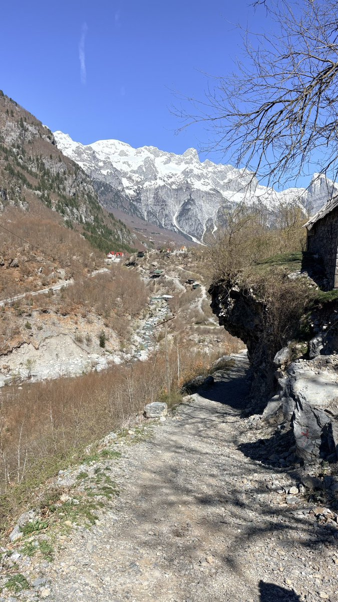 apix🎮 tweet media