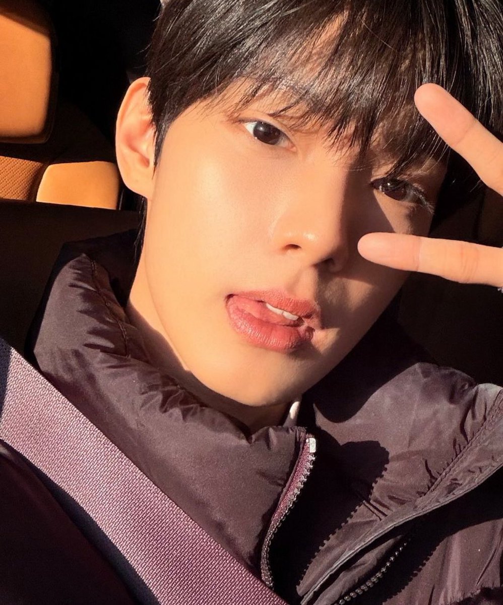 몽몽.. tweet media