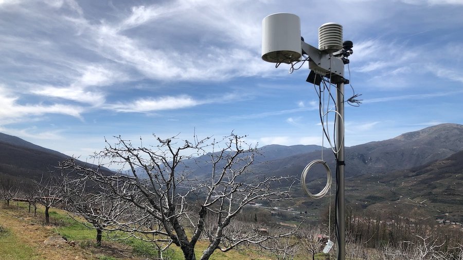 Vida Rural tweet media