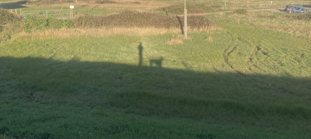 mortaltaste's tweet photo. Good morning from the salt marshes of Essex https://t.co/4GDti67Tg1