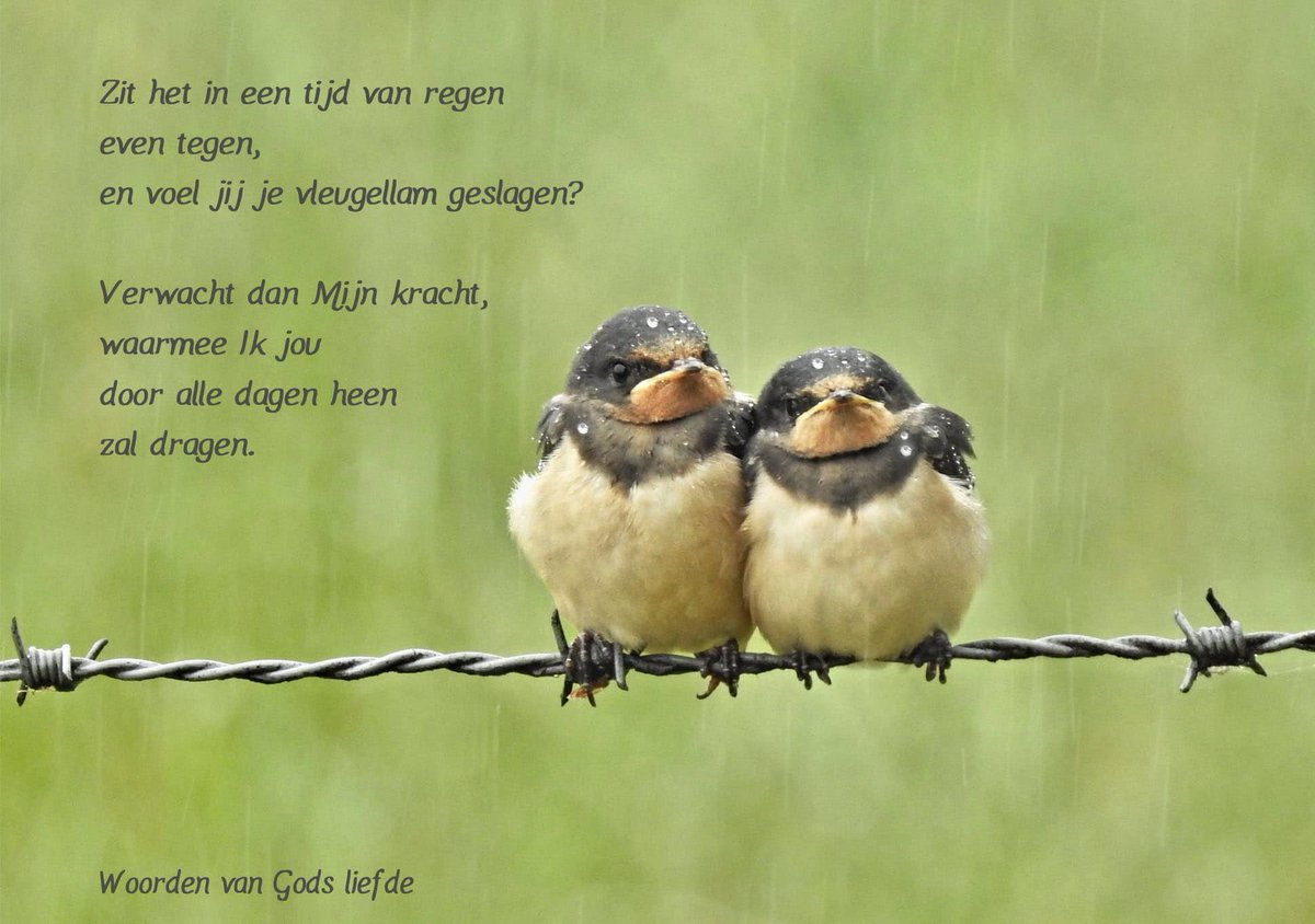 Hart, onrustig, vol van zorgen,
vleugellam geslagen ziel,
hoop op God en wees geborgen.
Hij verheft wie nederviel. (Psalmboek 42, vers 3,7)
