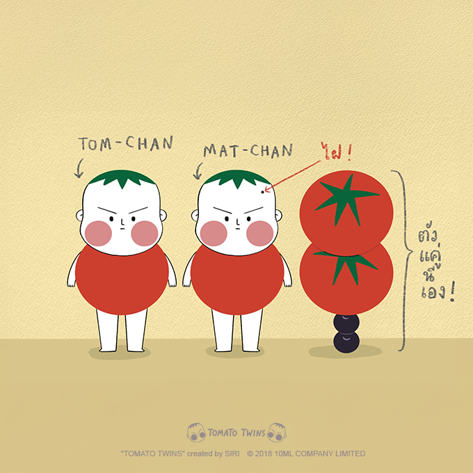 TOMATO TWINS【公式】 (@tomatotwins_jp) / Posts / X