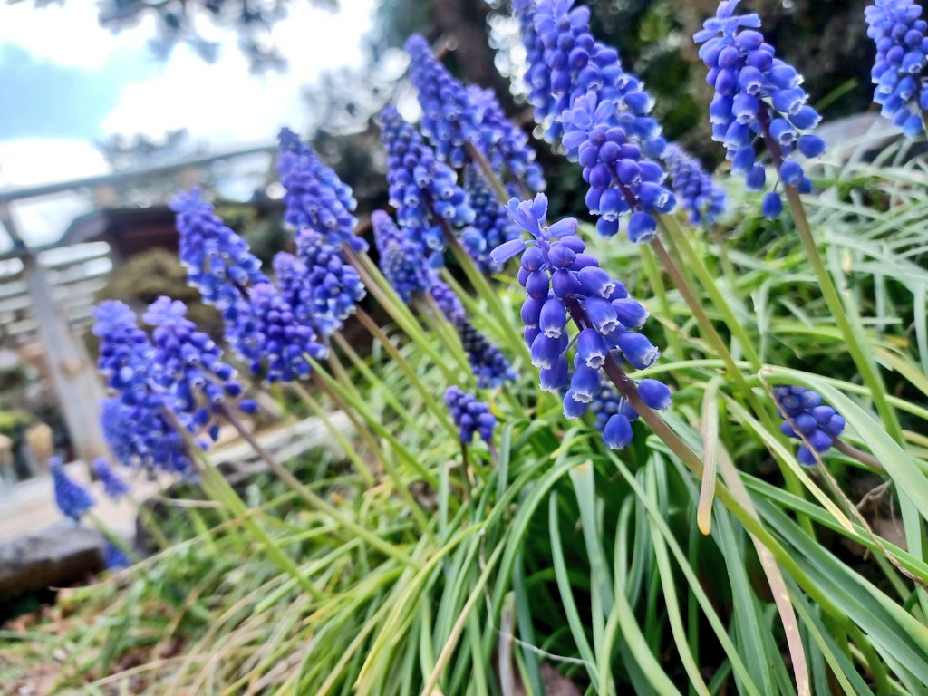 みわみわ (・∀・)ノ🧁☕✨ tweet media