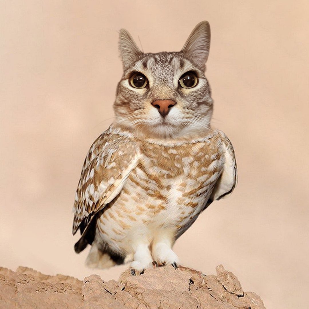 りゅ〜べ tweet media