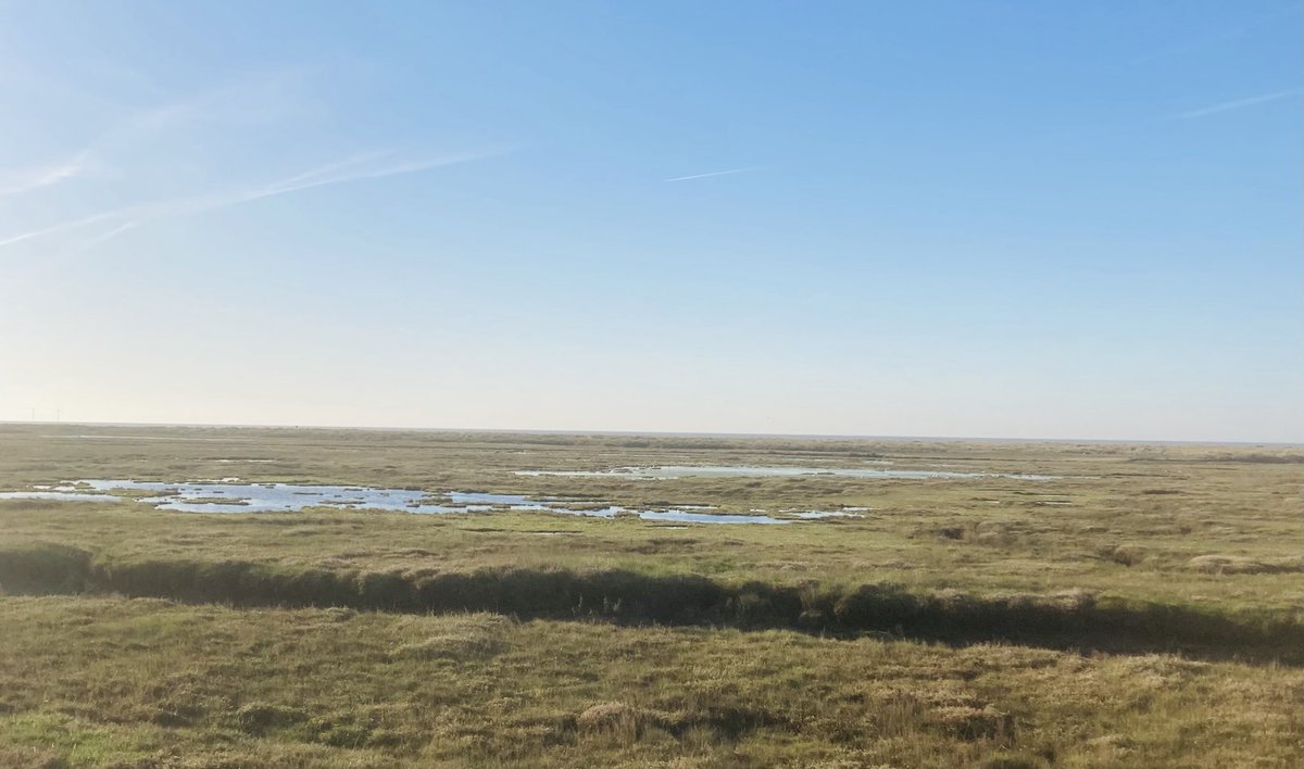 mortaltaste's tweet photo. Good morning from the salt marshes of Essex https://t.co/4GDti67Tg1