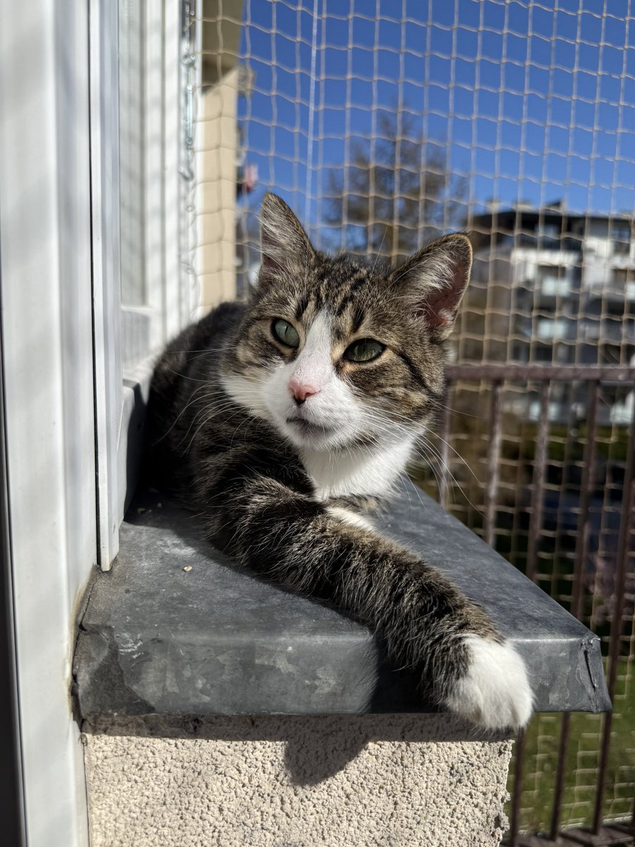 S3b@st!@n ✡️ tweet media