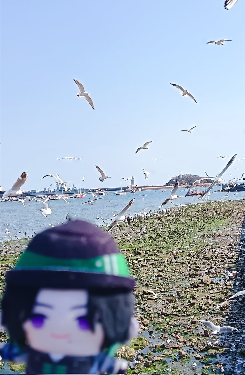 ye_luo2035's tweet photo. 🌸🕊🐍💚✨
#ジールみて #Zeepape #ZealMerch https://t.co/io5UPgPwfr