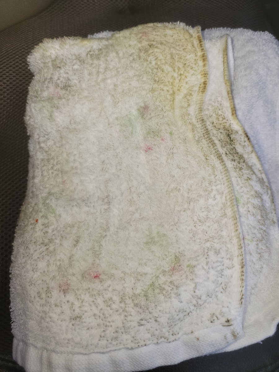 狂い火騎士 tweet media