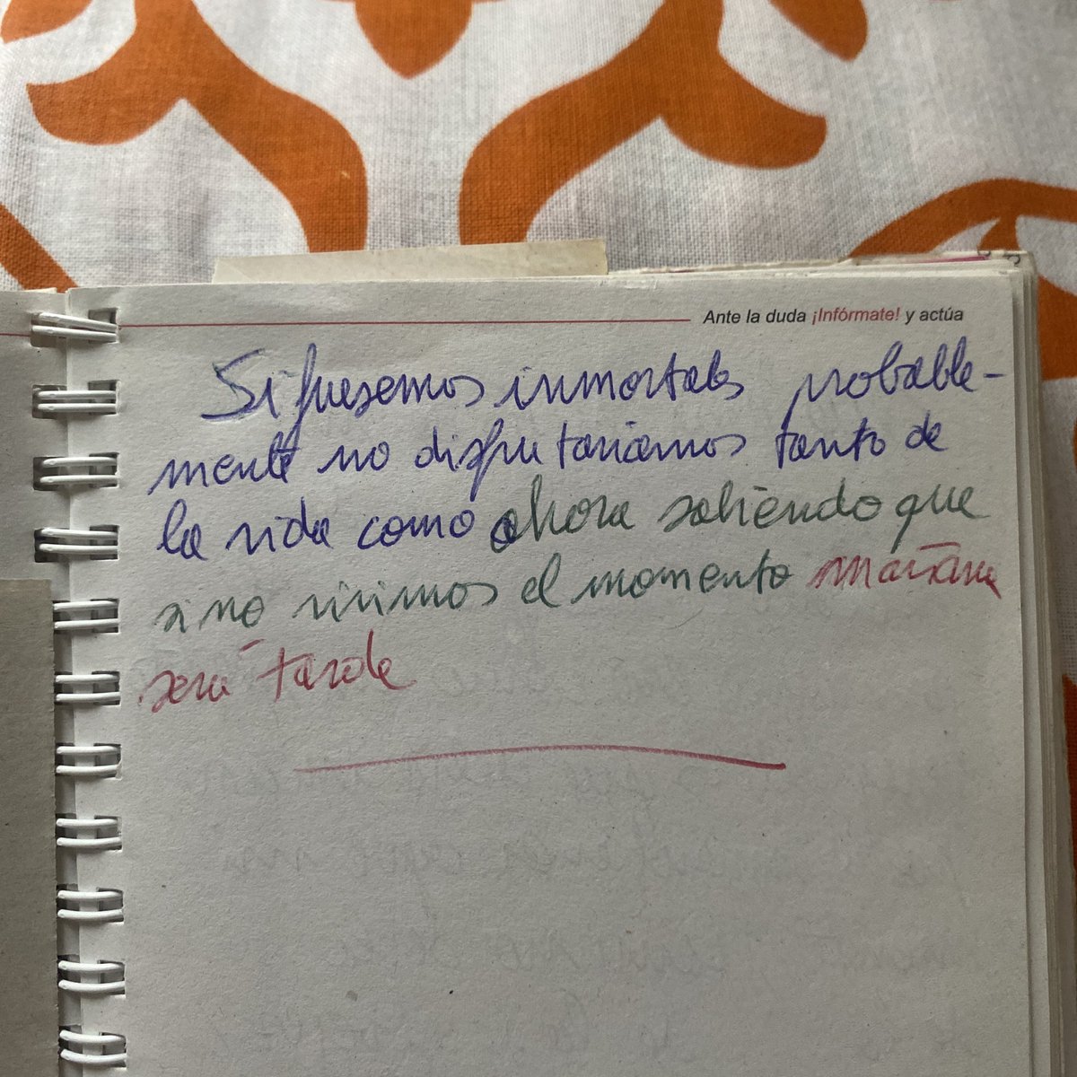 Si fuésemos inmortales probablemente no disfrutaríamos tanto de la vida como ahora sabiendo que si no vivimos el momento mañana será tarde.