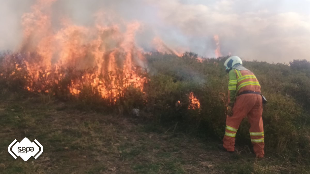 112Asturias's tweet photo. 📢Actualización #IIFF #Asturias: 31 🔥incendios forestales:
✅ 20 activos
✅ 11 controlados
📍 #Allande #Amieva #BelmonteDeMiranda #Cabrales #CangasDeOnís #CangasDelNarcea #Grado #Lena #Llanes #Morcín #Piloña #Ponga #SanMartínDeOscos #Salas #Tineo
💻https://t.co/2A9gxffPkN https://t.co/C9lF2T7g6B