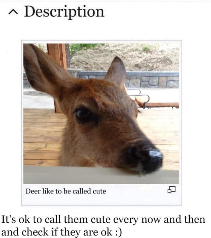 John fawn tweet media