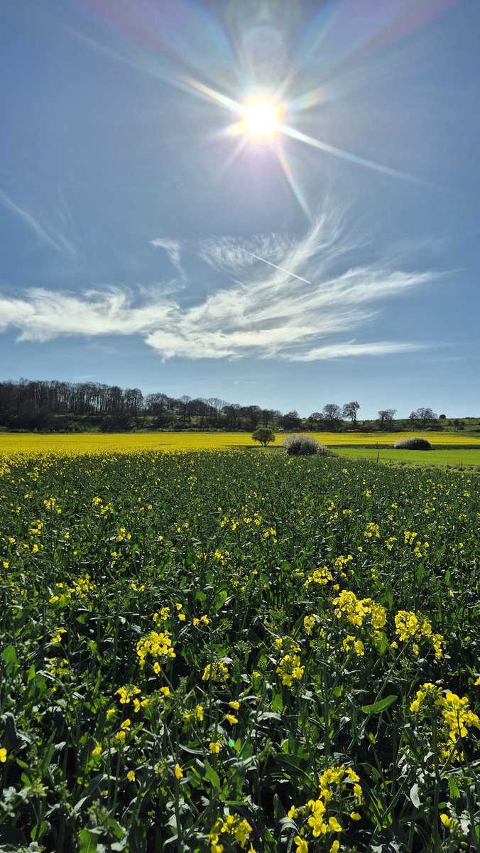 HatfieldChan's tweet photo. Meditation tonight! 715pm-915pm, The Backhouse Room, 116 Handside Lane, Welwyn Garden City, AL8 6SZ. Everyone welcome. If you'd like to join us for the first time please contact Mark on 07846 088277 or welwynhatfieldchan@outlook.com for further details. 🙏  #zenmeditation https://t.co/qaAkBiquLx