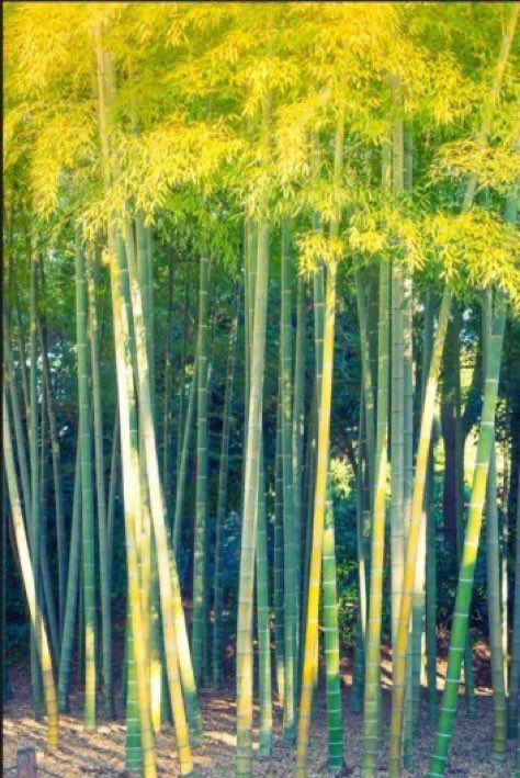 ฮฆใญใ๐ฃ๐พ๐บ๐ช๐๐ฑ๐๐ป๐โฝ๏ธ๐โฒโ โ๏ธโ ๐คโ๏ธ๐จโบ๏ธ๐ฆด tweet media