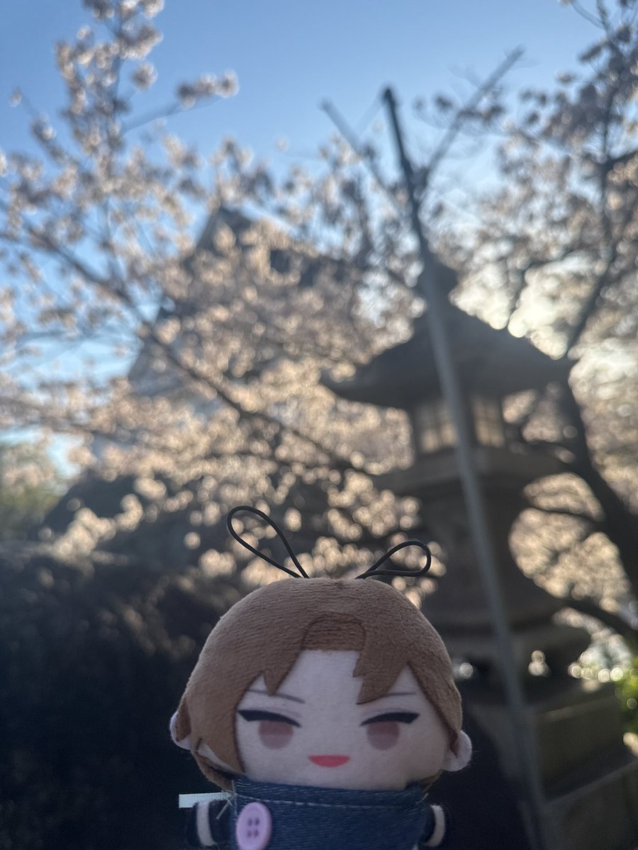 ひい💫 tweet media