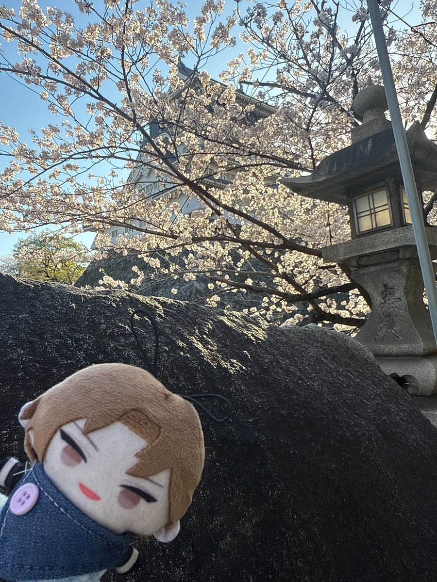 ひい💫 tweet media