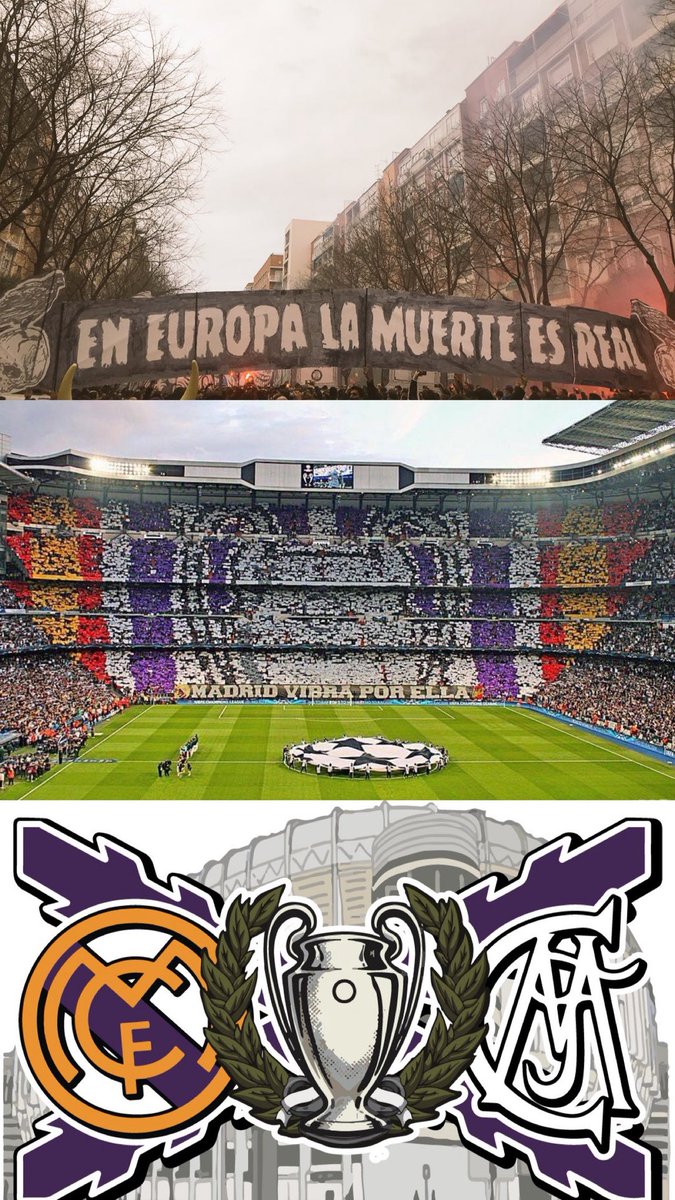 Sergio_RMCF tweet media