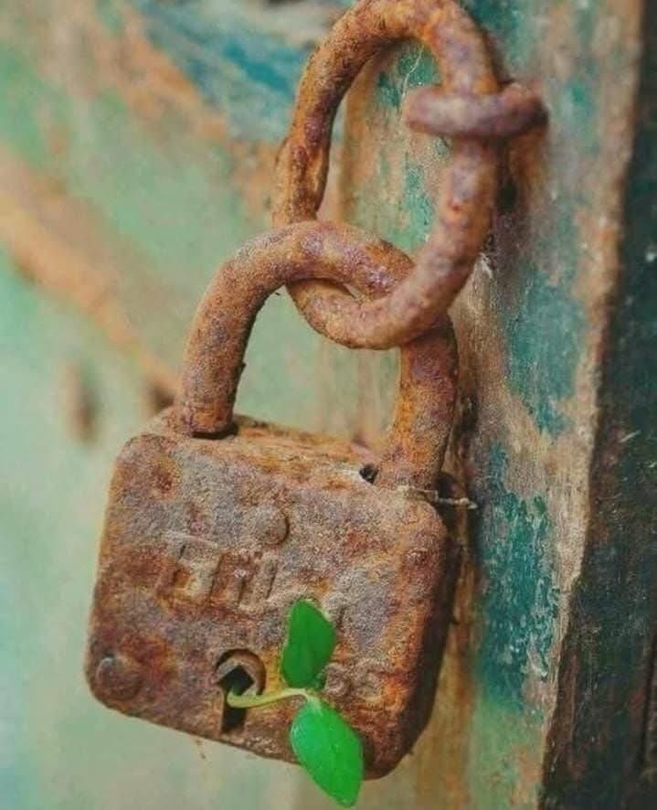 SaEr0r's tweet image. When you reach the end of what you should know, 
you will be at the beginning of what you should sense.

~Khalil Gibran
#motivation #quotesaboutlife