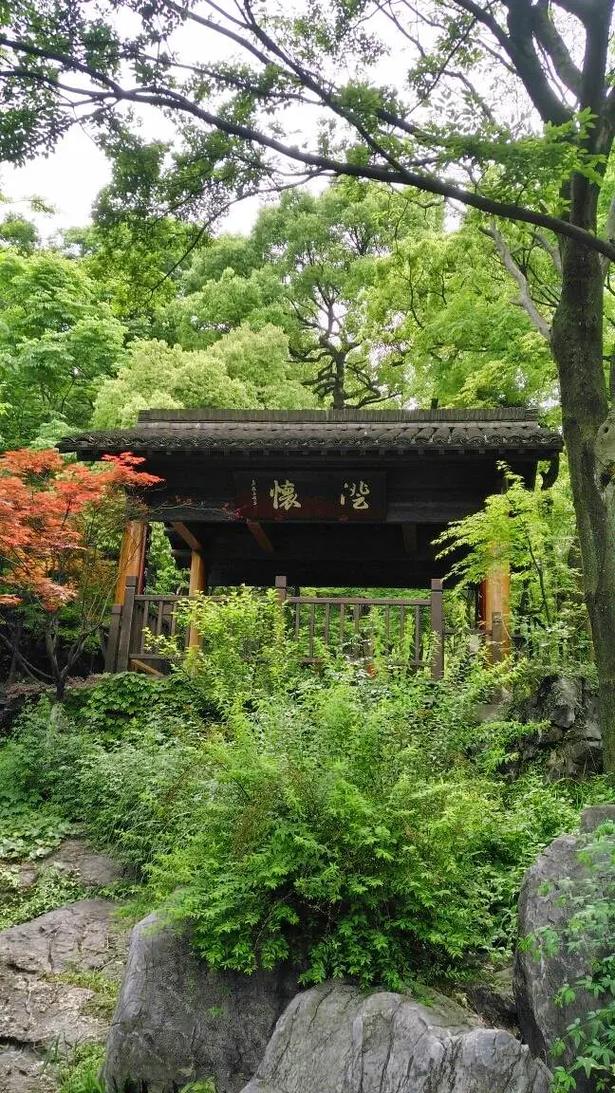 İbrahim GÜLSEVER tweet media