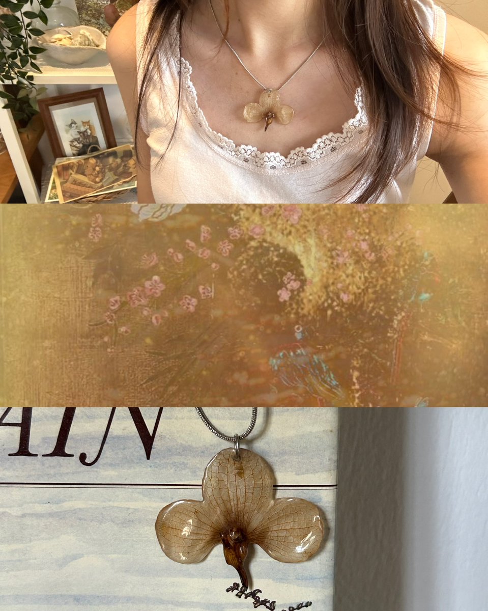 linabelleir's tweet photo. orchid mood 🥝🪾🍂 https://t.co/zGUiwablUF