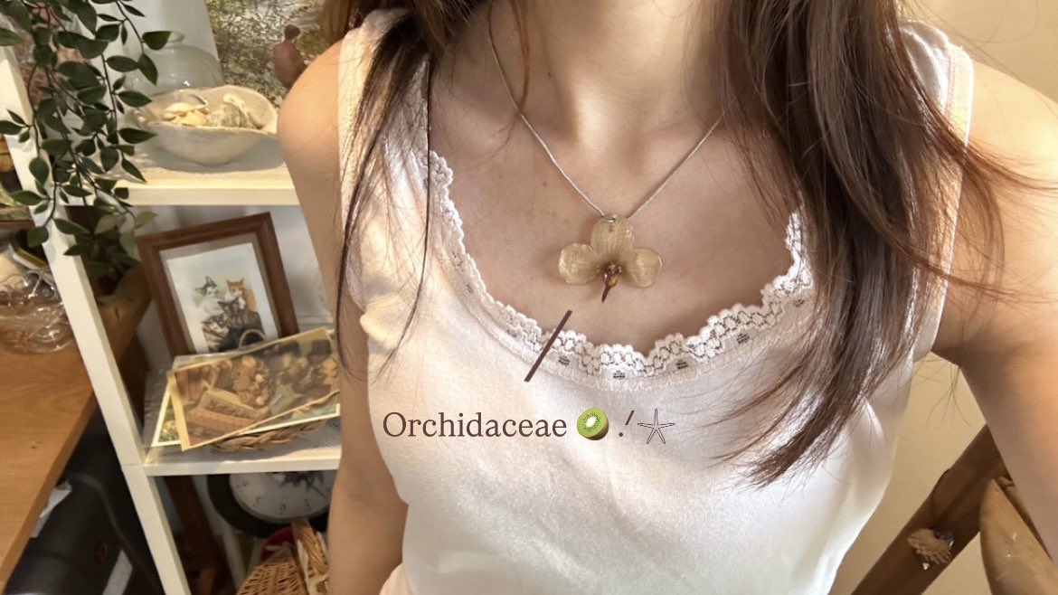 linabelleir's tweet photo. orchid mood 🥝🪾🍂 https://t.co/zGUiwablUF