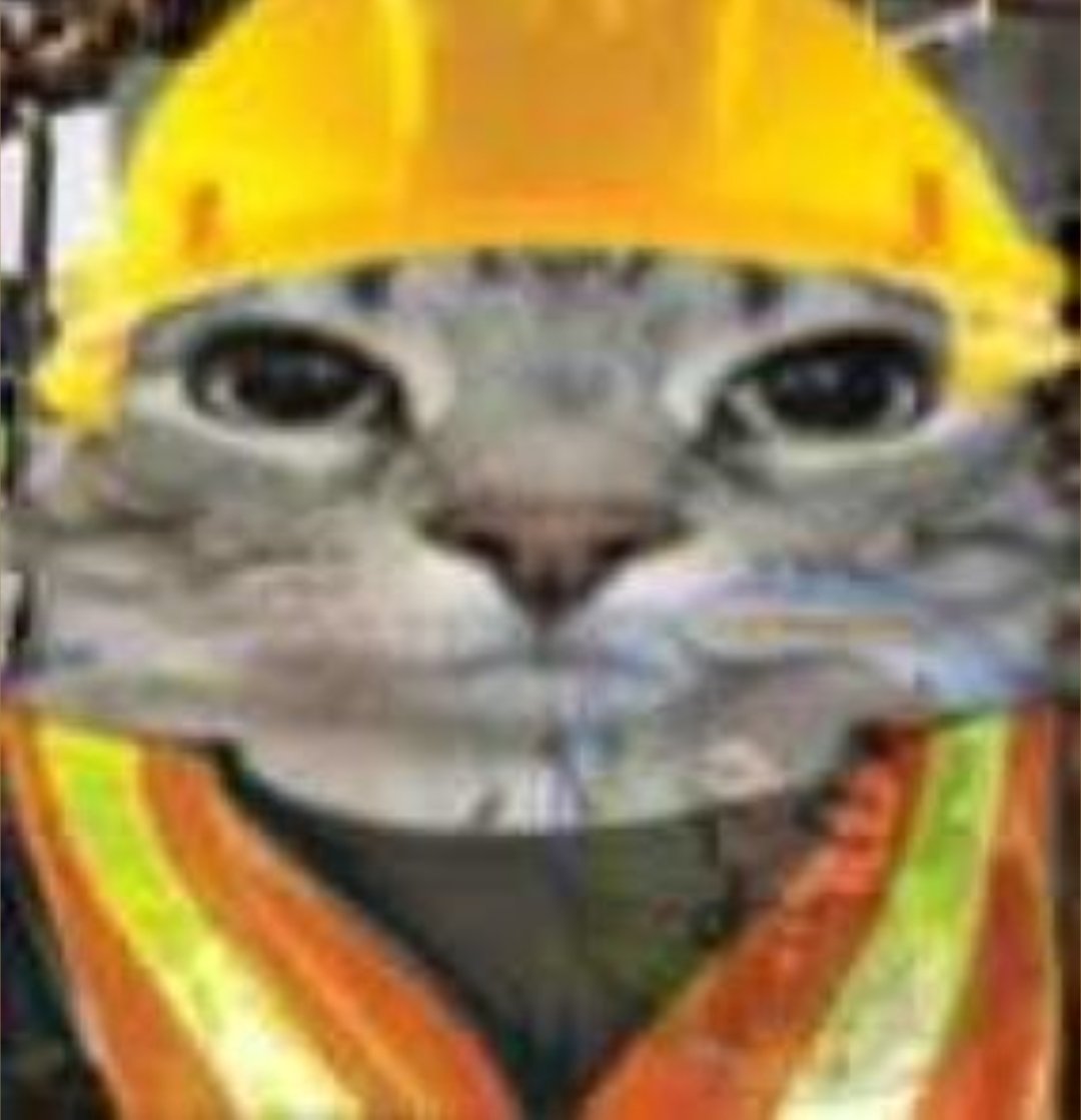 Razzy Dazzy tweet media