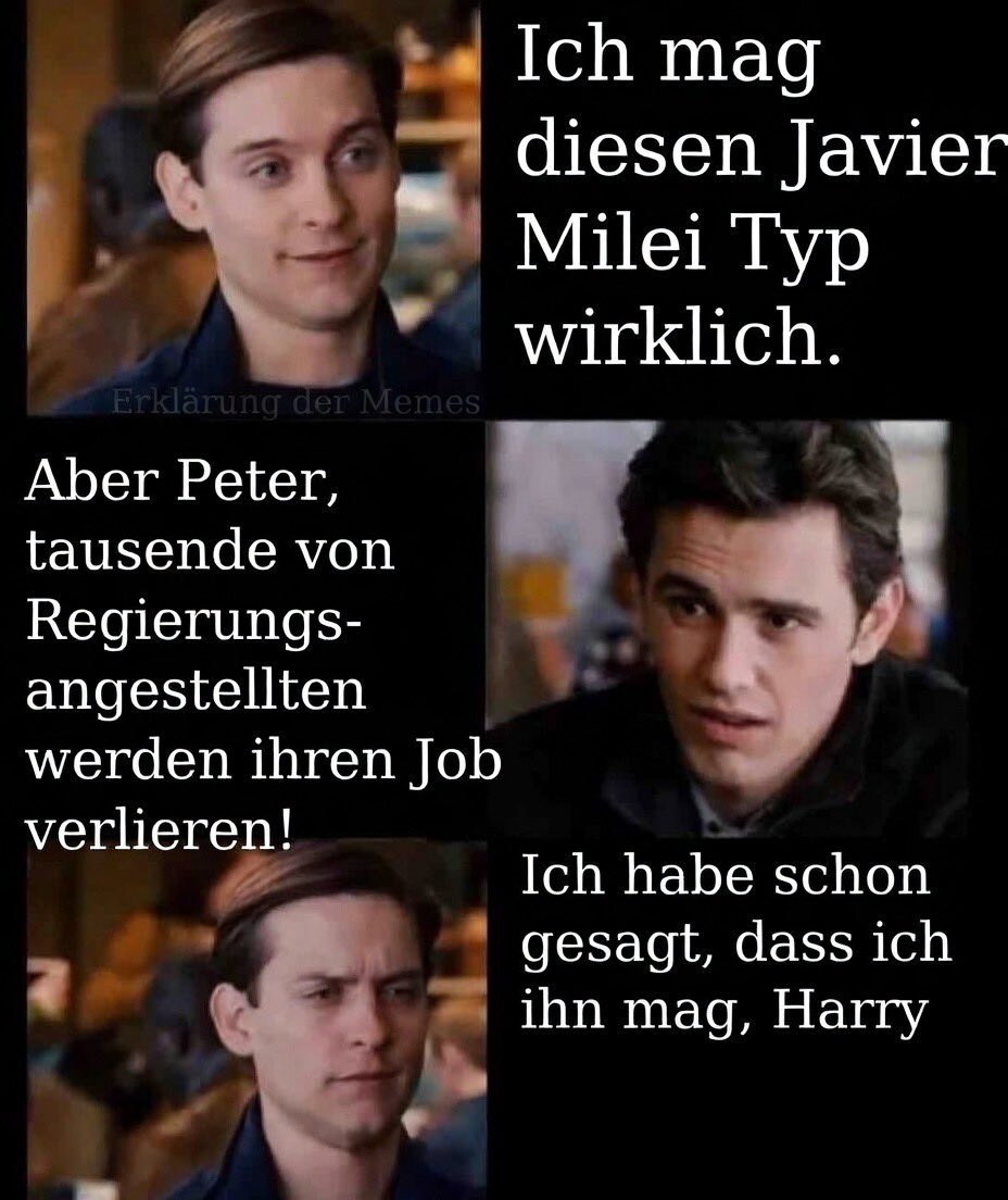 JavierMileiDE_Kommentar tweet media