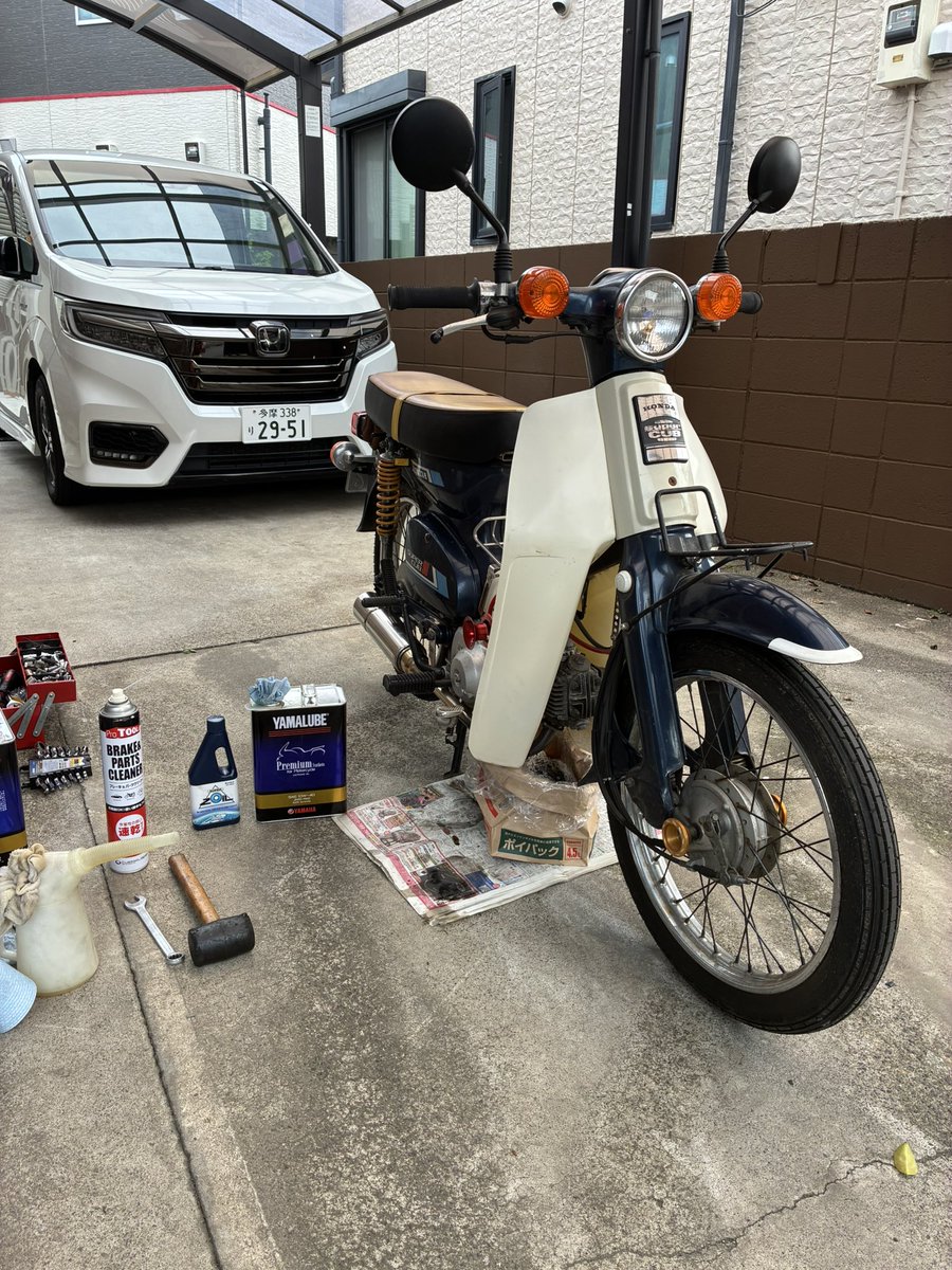 ナナエフ君 tweet media