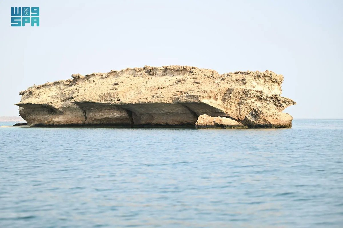 "الحريد".. حكاية يرويها البحر على شاطئ الحصيص في كل عام.
spa.gov.sa/ar/w2554398
#واس