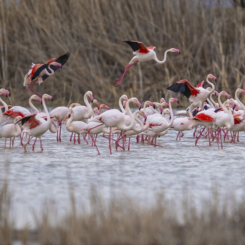 Pusholder tweet media