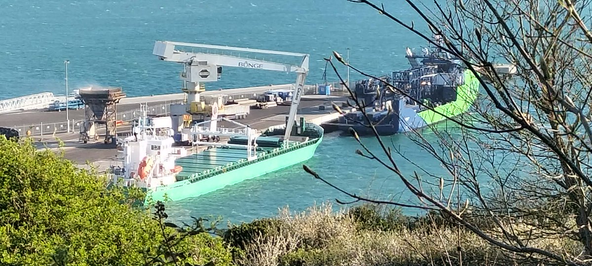 AytonJustyn's tweet photo. ๐ญ No Incinerator ๐ญ Boycott portland port ๐ฎ๐ช Arklow Rally ๐ฎ๐ช in #portland on 7/4/26. A General Cargo vessel. #weymouth #dorset #photography #shiplnpics #shipspotting #ArklowRally #GeneralCargo #lreland #ArklowShipping #ships #shipping https://t.co/uISgDlSe9e