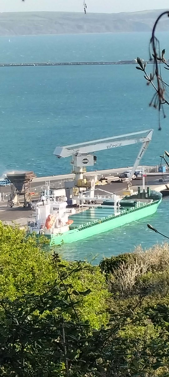 AytonJustyn's tweet photo. ๐ญ No Incinerator ๐ญ Boycott portland port ๐ฎ๐ช Arklow Rally ๐ฎ๐ช in #portland on 7/4/26. A General Cargo vessel. #weymouth #dorset #photography #shiplnpics #shipspotting #ArklowRally #GeneralCargo #lreland #ArklowShipping #ships #shipping https://t.co/uISgDlSe9e