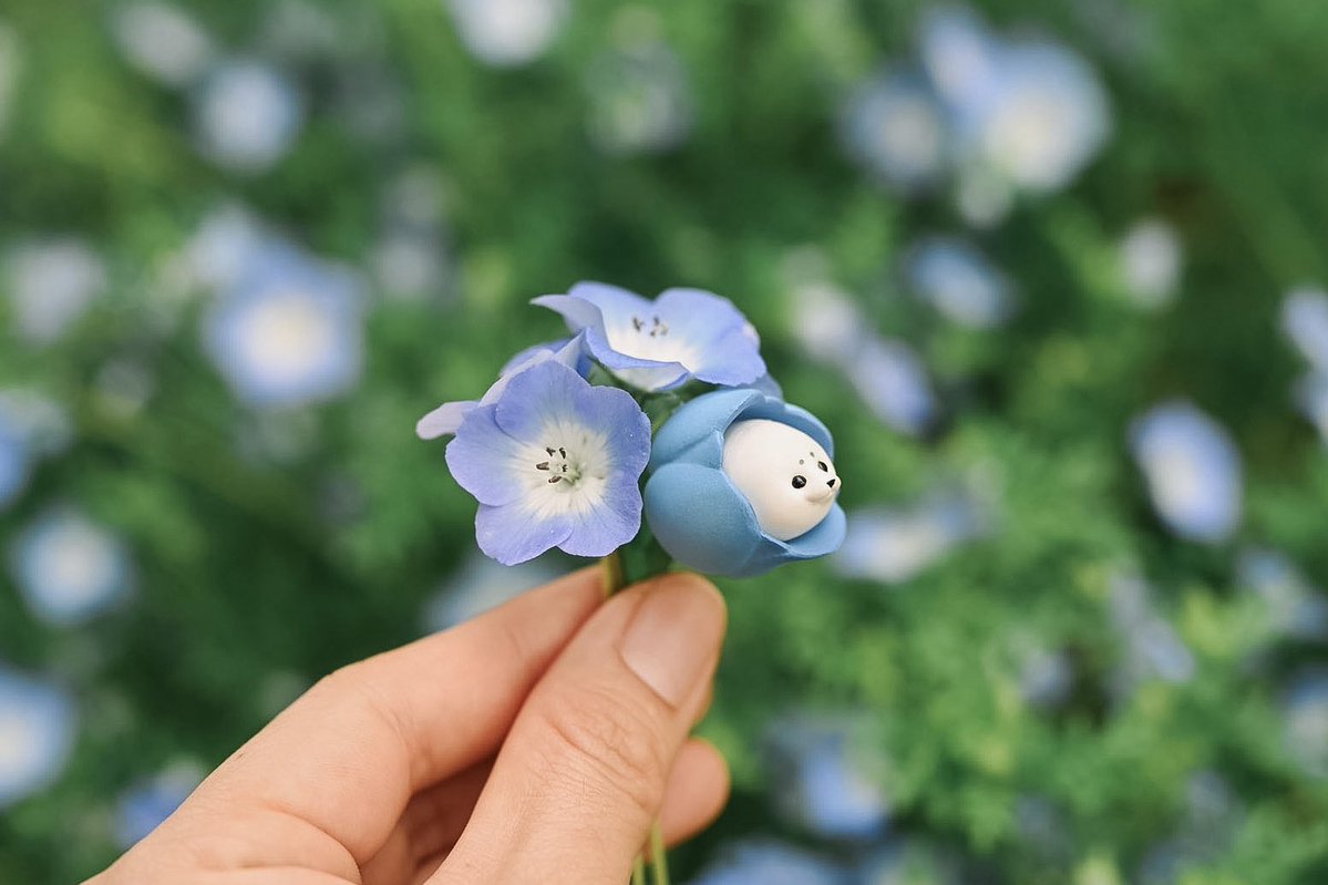 もんとみ|もっちり動物造形作家 tweet media