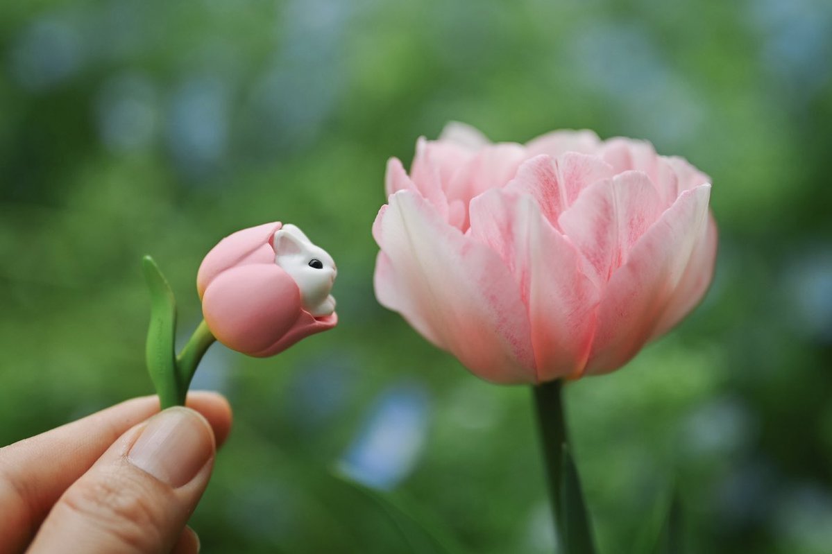 もんとみ|もっちり動物造形作家 tweet media