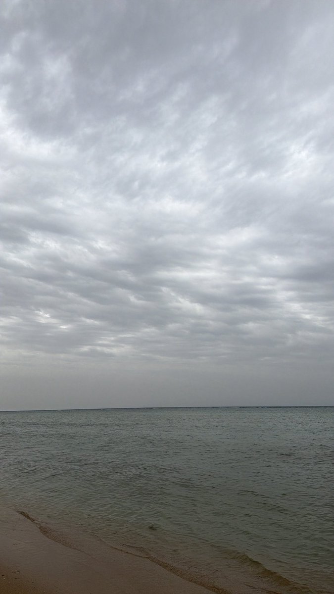 مردها بتزين tweet media