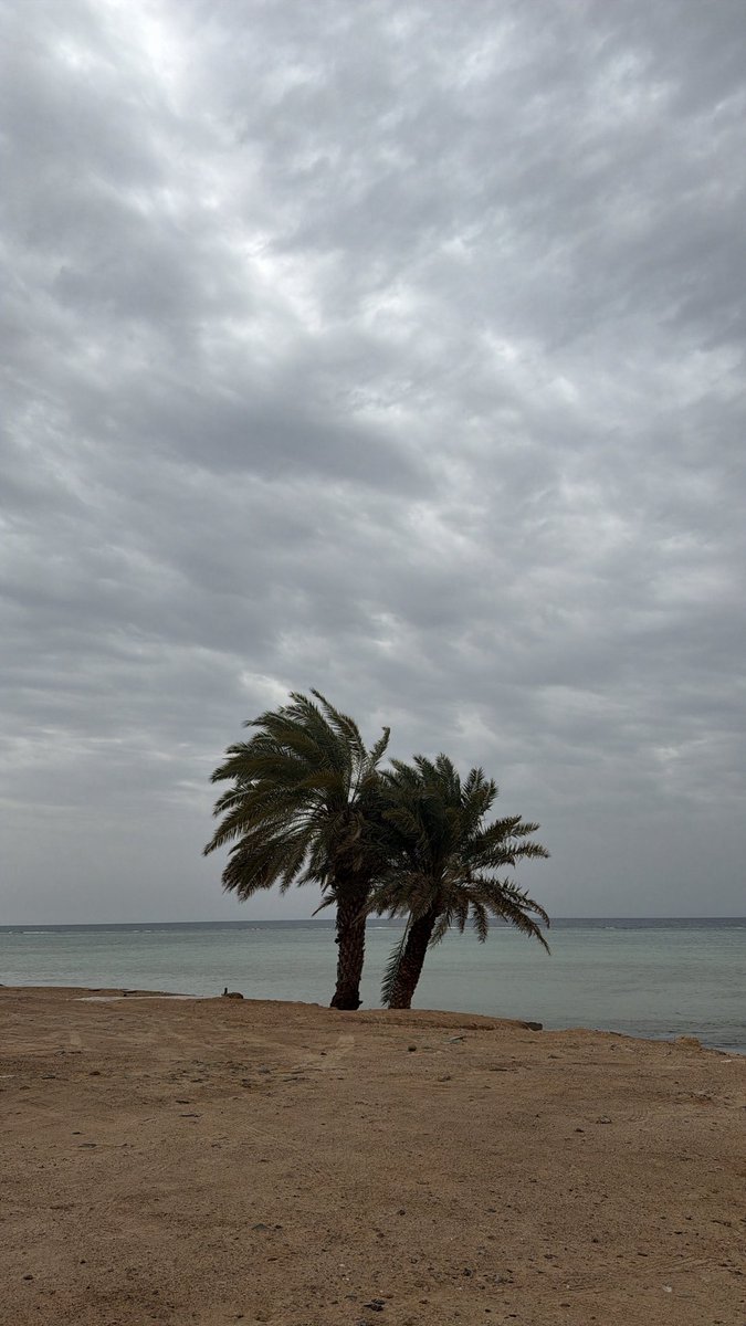 مردها بتزين tweet media