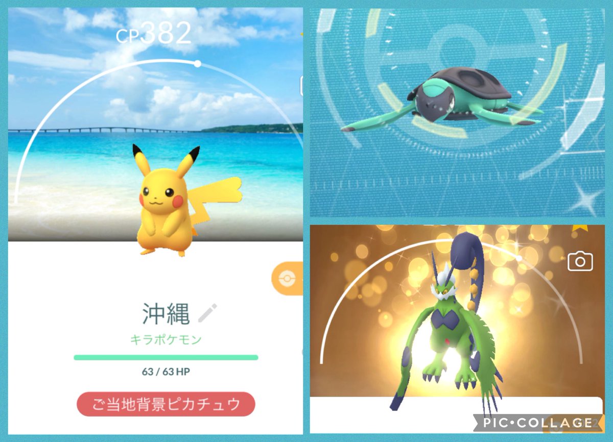 SARA🍓 tweet media