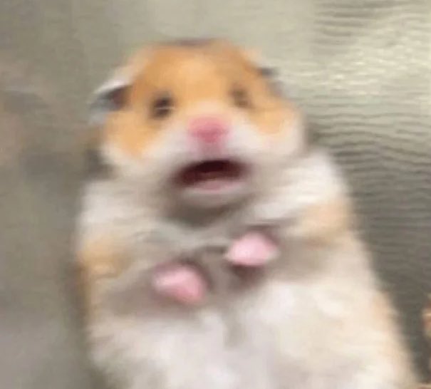 มตล. tweet media