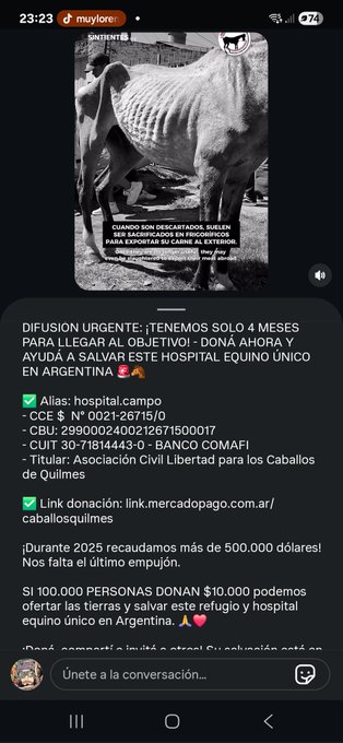 Oguro Star Blossom tweet media