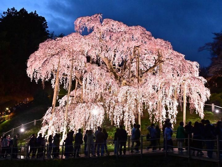 めてお~@ tweet media