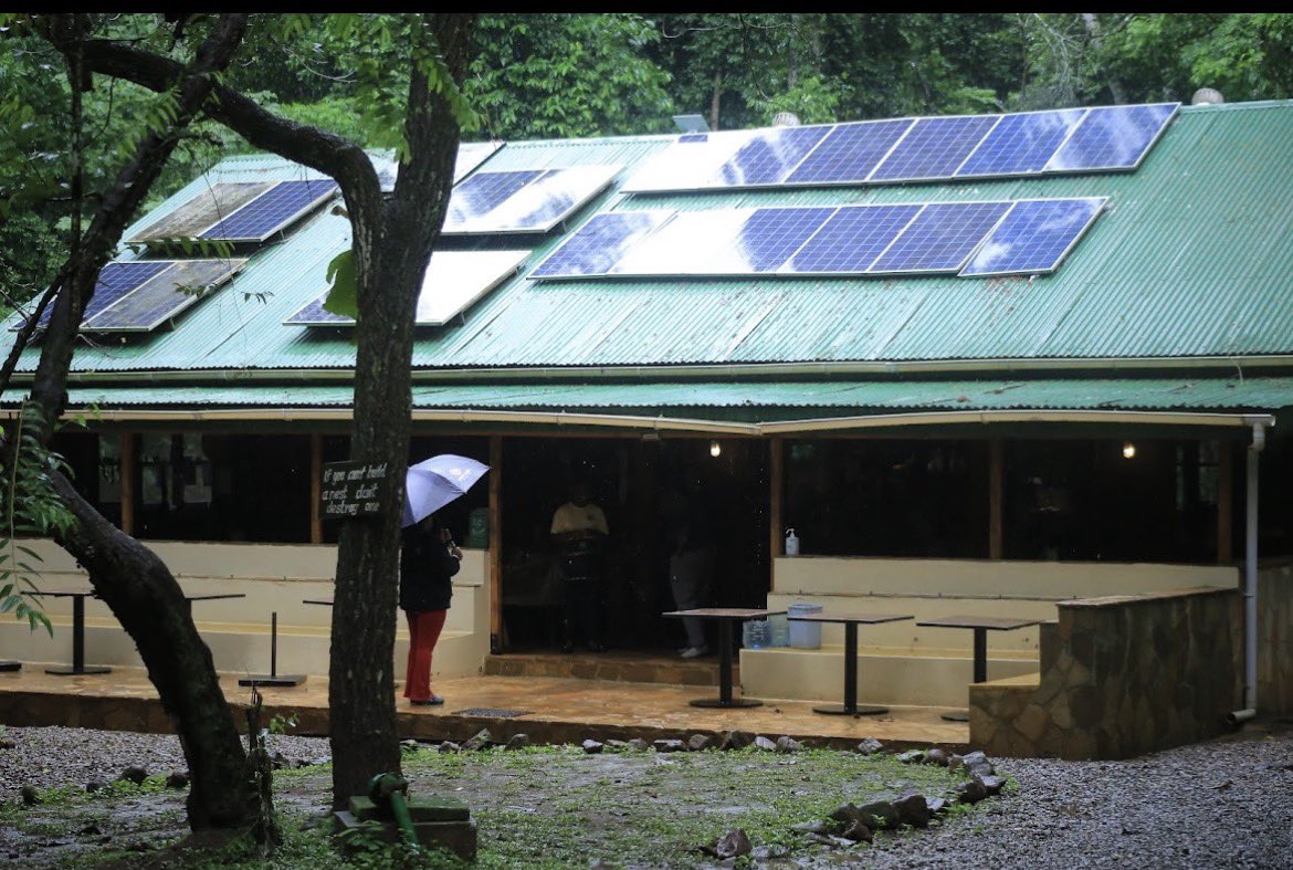 Namakula Phiona tweet media