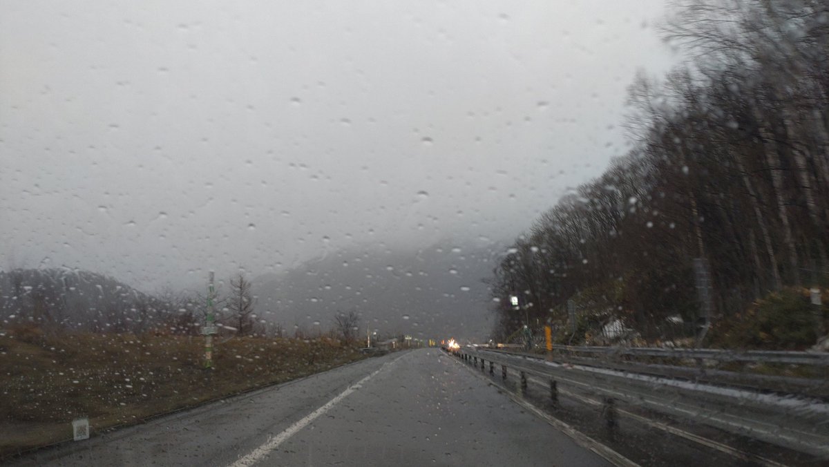 Mariaキャンプ tweet media