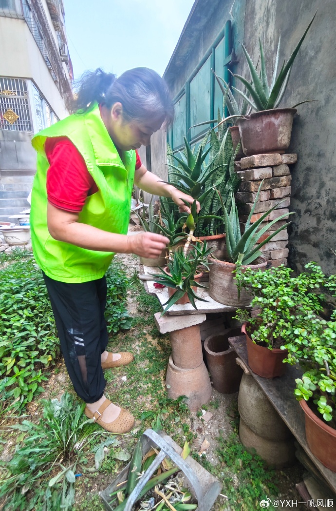 Mariani Isabelle tweet media