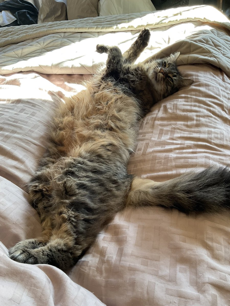 Guy Andrews-Scott tweet media