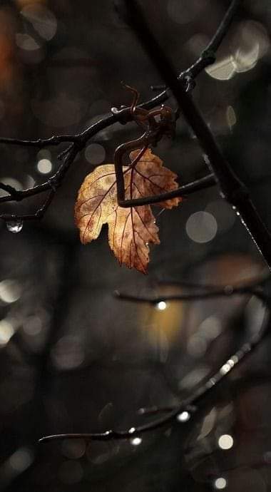 Åñöñymöüs💎 tweet media