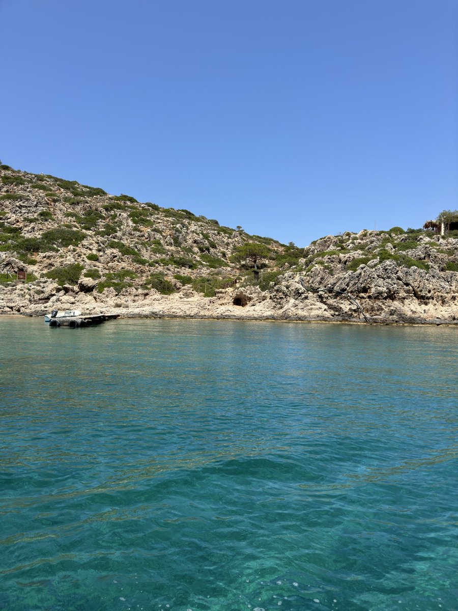 QC Capital tweet media