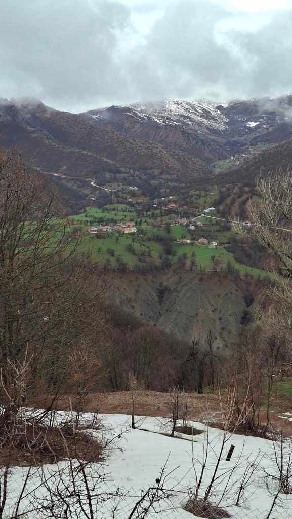 Caner Canerik tweet media