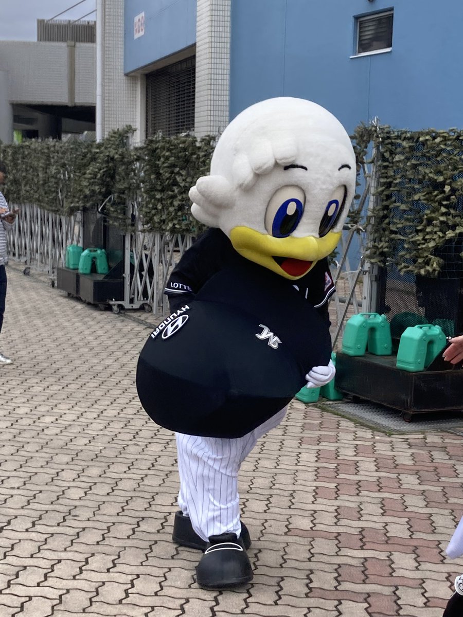 ぺーいしゃん🫑🕊️🐧⚽️⚾️。 tweet media