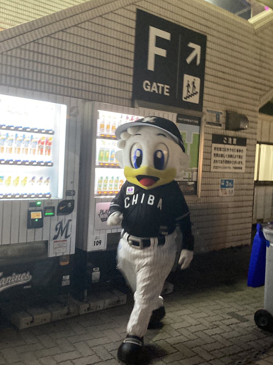 ぺーいしゃん🫑🕊️🐧⚽️⚾️。 tweet media