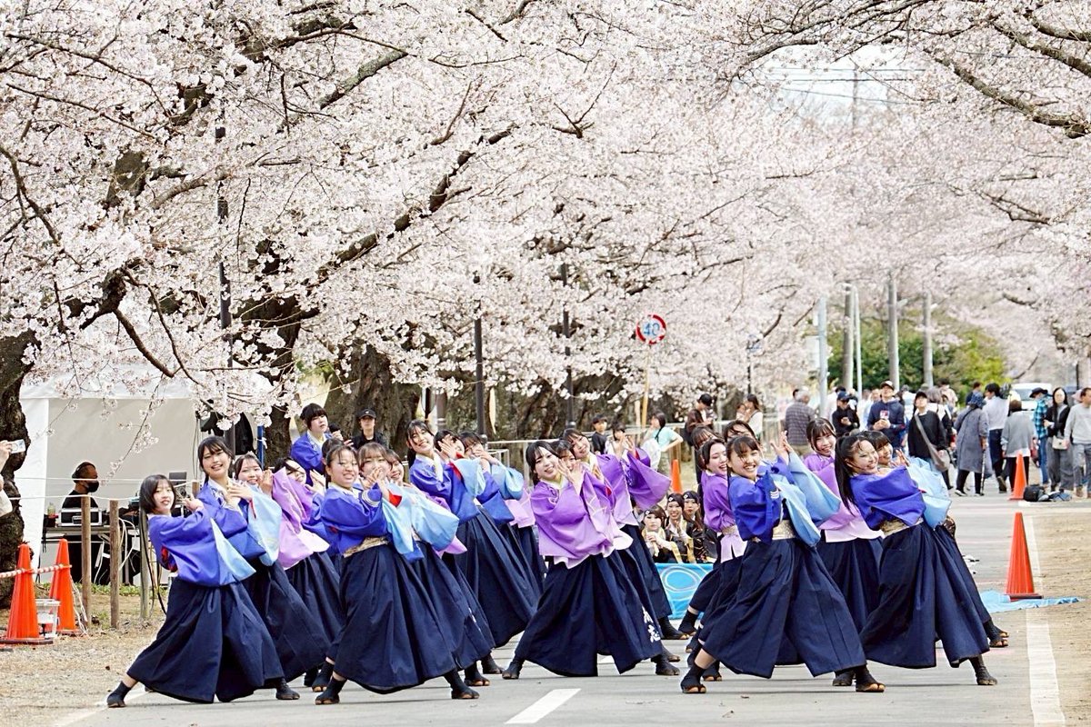 尚志高校MINERVA tweet media